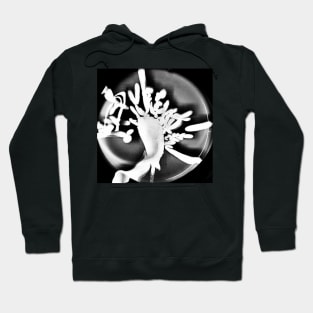 Secret Alien Language Hoodie